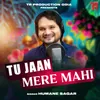 About Tu Jaan Mere Mahi Song